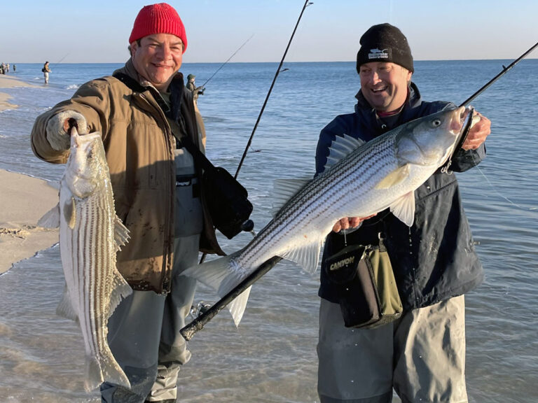 surf casters catch striped bass
