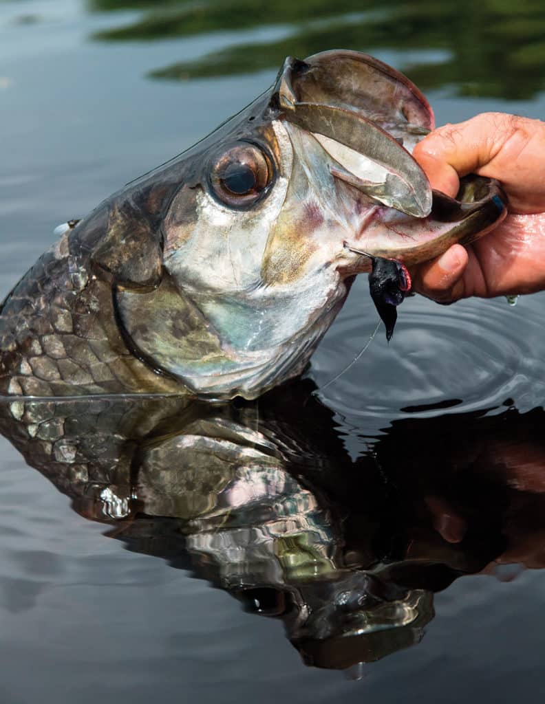 World's Greatest Flats-Fishing Destinations