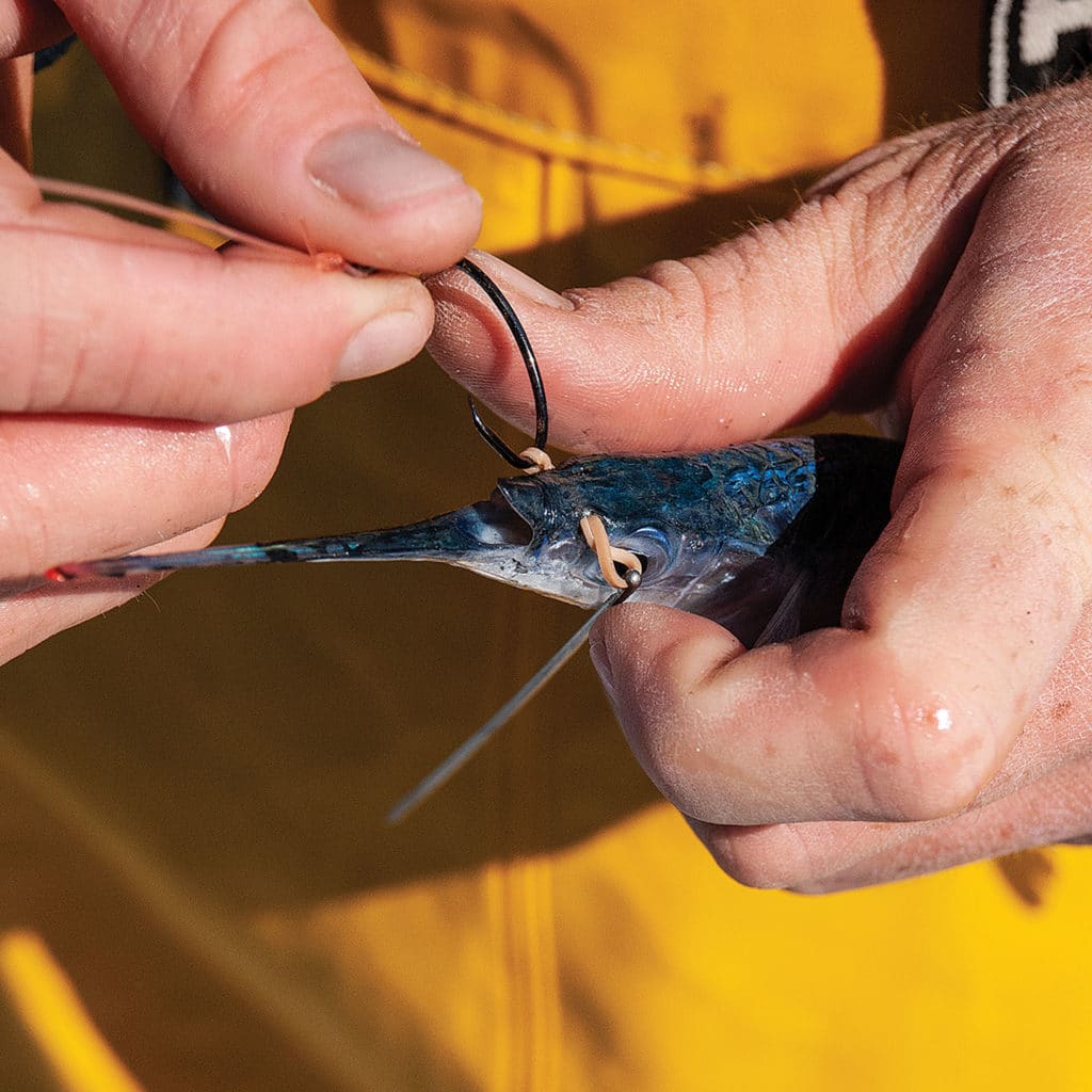 Nose bridle for bait